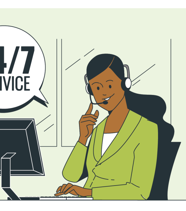 Government IT Service desk
